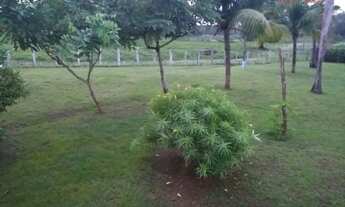 Imagem 5: Área rural à venda, Maranhão Novo, São Luís