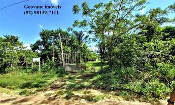 Imagem 7: Fazenda Sítio Chácara Estrada de Janauary KM 13 Ramal Boa Fé Iranduba 22.500m²