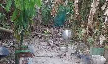 Imagem: Terreno em Porto do Sauipe, Loteamento Iemanjá