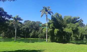 Imagem 5: Lote no Setor Pedro Ludovico