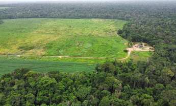 Imagem 4: Fazenda 1.024 hec em nova motum MT. 200hec abertos pega imóveis 30 milhões