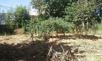 Imagem 5: Terreno com ótima localização para venda-Vila Antonio