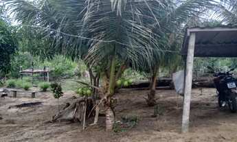 Imagem 2: Sítio 200 de largura por 1000 de fundo