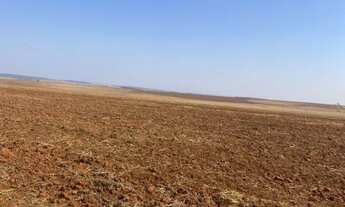 Imagem 2: Fazenda de arrendamento