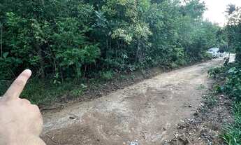 Imagem 4: Lote chapada dos Veadeiros