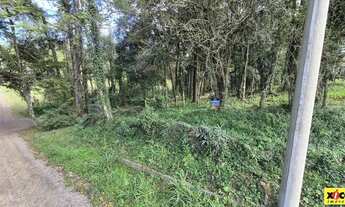 Imagem 4: Terreno para Venda em Nova Petrópolis, Piá
