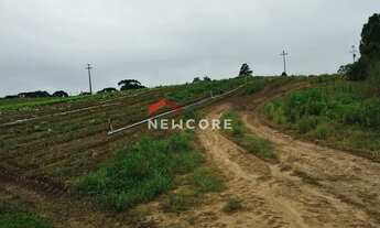 Imagem 6: Chácara em Rua Campestre - Colônia Murici - São José dos Pinhais/PR