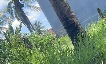 Imagem: Terreno / lote