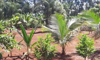 Imagem 4: VENDO DOIS TERRENO 90.000,00