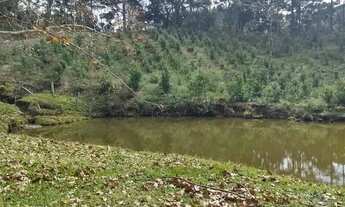 Imagem 5: Oportunidade Única: Área Produtiva e de Lazer no Tarumã Agudos do Sul