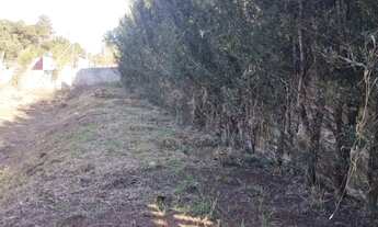 Imagem 6: Chacara em iIbiuna