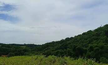 Imagem 5: Ibiúna SP: Terrenos de 1000m² com Muito Verde e Tranquilidade