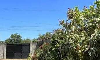 Imagem 4: CASA COM RGI E ESCRITURA