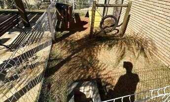 Imagem 7: Apartamento com 2 dormitórios, 57 m² - venda por R$ 330.000,00 ou aluguel por R$ 2.210,00