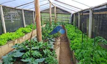 Imagem 2: SITIO PARA LOCAÇÃO/VENDA EM MONTEIRO LOBATO
