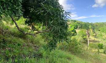 Imagem: Sítio de 1,2 tarefa a venda em Maragogipe