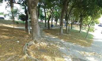 Imagem 7: Terreno à venda, 386 m² por R$ 638.000,00 - Parque Oratório - Santo André/SP