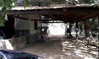 Imagem 7: Vendo Sítio na Floresta em Itaperuna