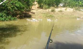 Imagem 4: Vendo Sítio na Floresta em Itaperuna