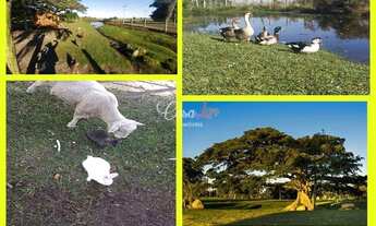 Imagem 3: LOTE NO CONDOMÍNIO MARÍTIMO, OPORTUNIDADE