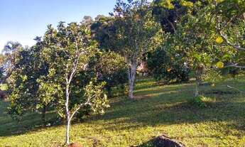 Imagem 7: Fazenda/Sítio/Chácara para venda com 30000 metros quadrados com 4 quartos