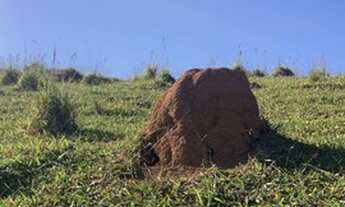 Imagem 5: Venha conhecer os terrenos em Igaratá!