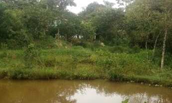 Imagem 5: Vendo sitio 5.800 metro por 130.00 mil