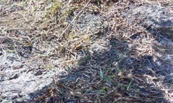 Imagem 7: Lote com 452m² Terreno / lote com venda por R$165.000