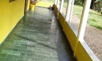 Imagem 4: Sitio em guapiara