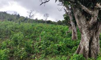 Imagem 6: MULUNGU-terrenos com pagamento facilitado em até 30 vezes