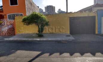 Imagem 4: SAO PAULO - Terreno