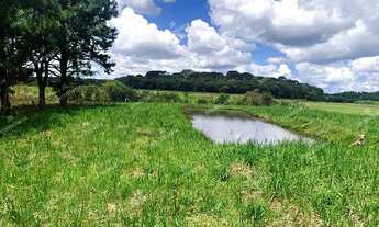 Imagem 5: Excelente chácara Sem Benfeitorias