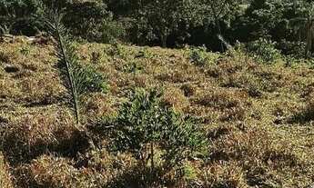 Imagem 5: Chácaras NEW YORK 12KM RIO PARANAÍBA MG