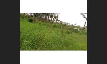 Imagem 5: Vende-se terreno Balneário Pereque 10×20