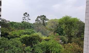 Imagem: Pinheiros - frente para o Parque Vila Lobos