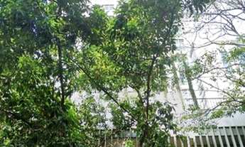 Imagem: Cobertura com 2 dormitórios à venda em