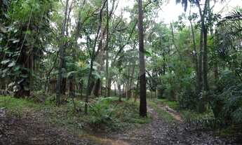 Imagem 2: AV. DE GRANDE FLUXO - LOCALIZAÇÃO PRIVILEGIADA