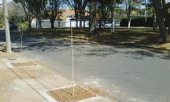 Imagem 7: Terreno - Parque Taquaral - Campinas