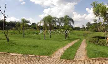 Imagem 6: Chácara - Área Rural de Mogi Mirim - Mogi Mirim