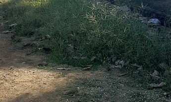 Imagem 4: BR 319 km 13 na beira da br o terreno