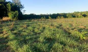 Imagem 5: Fazenda em Palmas