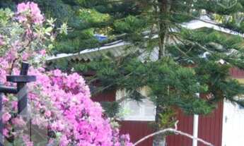 Imagem: GRAVATAí - Sítio - Costa do Ipiranga