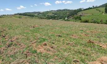 Imagem 4: Não perca esses terrneos em Atibaia!