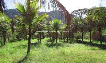 Imagem 2: Fabio Paes Imóveis - Terreno a venda com 25.000 m² em área nobre, rio nos fundos