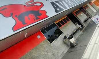 Imagem 5: Oportunidade - Açougue Mercearia Conveniência Completo em Guararapes SP