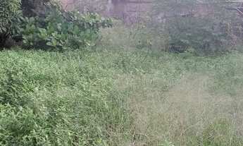 Imagem 6: Vendo terreno Manilha