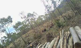 Imagem 7: 01,Lote/Terreno para venda tem 600 metros quadrados em Jacareí - Igaratá - São Paulo