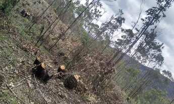 Imagem 6: 01,Lote/Terreno para venda tem 600 metros quadrados em Jacareí - Igaratá - São Paulo