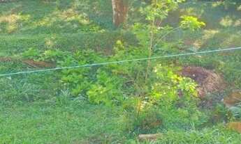 Imagem 5: Chácara com 4 dormitórios à venda, 1000 m² por R$ 320.000 - Chácara Santo Hubertus - São P