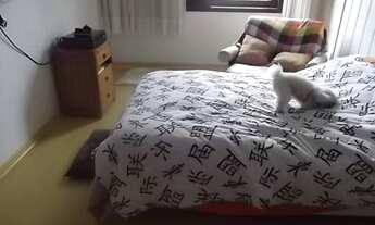 Imagem 7: IMOBILIÁRIA MENINO DEUS LTDA OFERTA MD6787